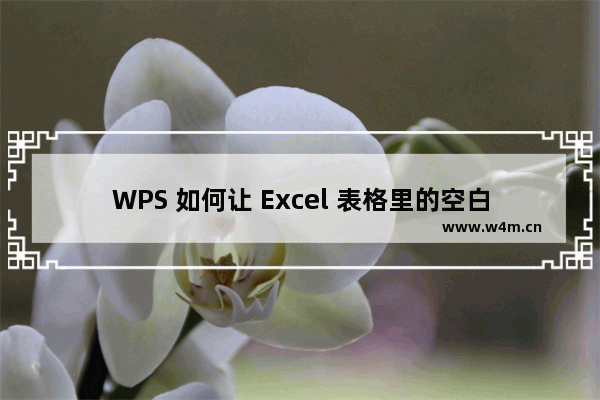 WPS 如何让 Excel 表格里的空白处自动填写 0