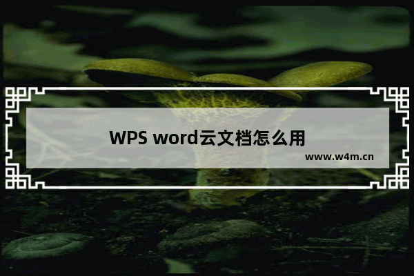 WPS word云文档怎么用