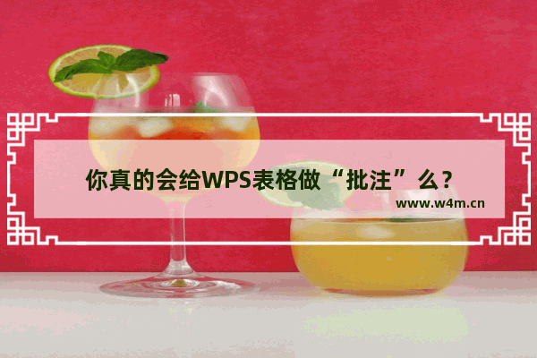 你真的会给WPS表格做“批注”么？