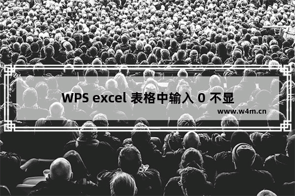 WPS excel 表格中输入 0 不显示怎么办