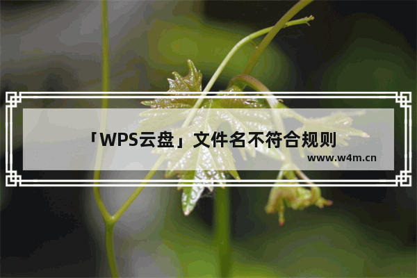 「WPS云盘」文件名不符合规则