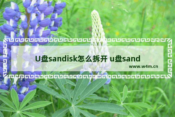 U盘sandisk怎么拆开 u盘sandisk是什么意思