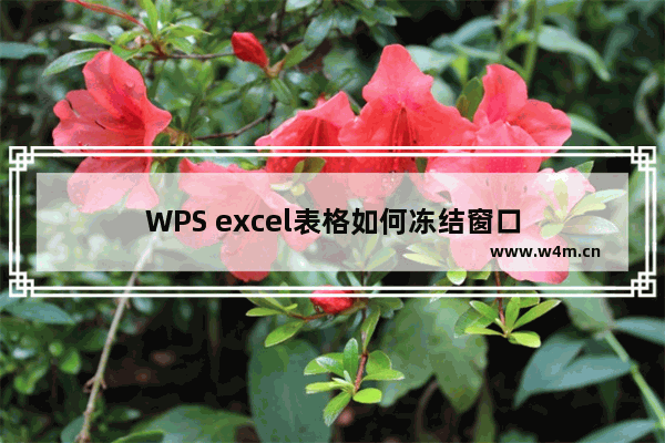 WPS excel表格如何冻结窗口