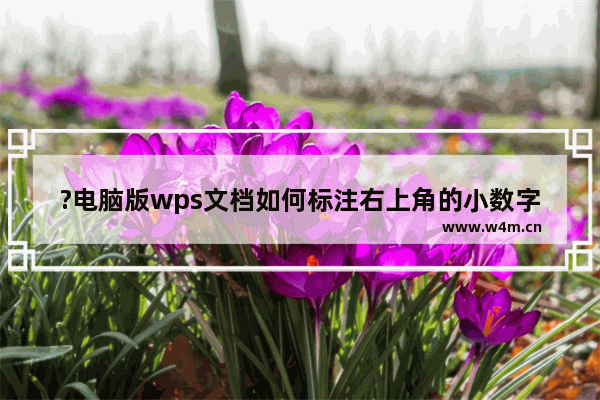 ?电脑版wps文档如何标注右上角的小数字