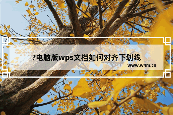 ?电脑版wps文档如何对齐下划线