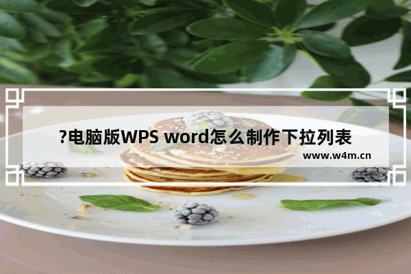 ?电脑版WPS word怎么制作下拉列表