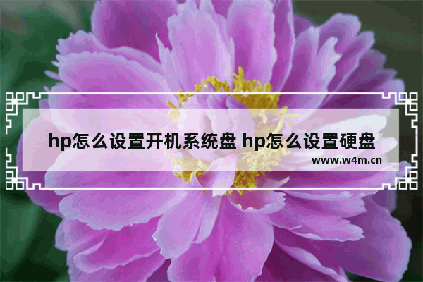 hp怎么设置开机系统盘 hp怎么设置硬盘启动顺序