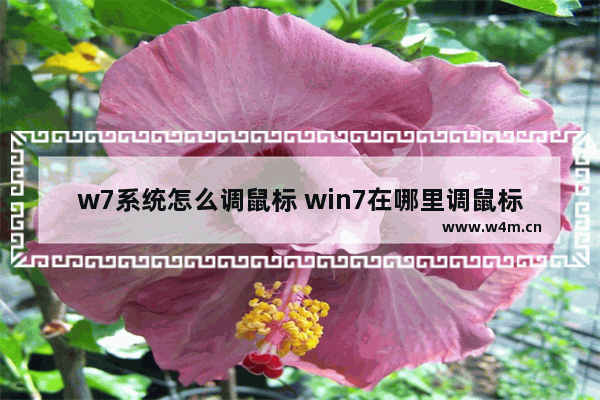 w7系统怎么调鼠标 win7在哪里调鼠标速度