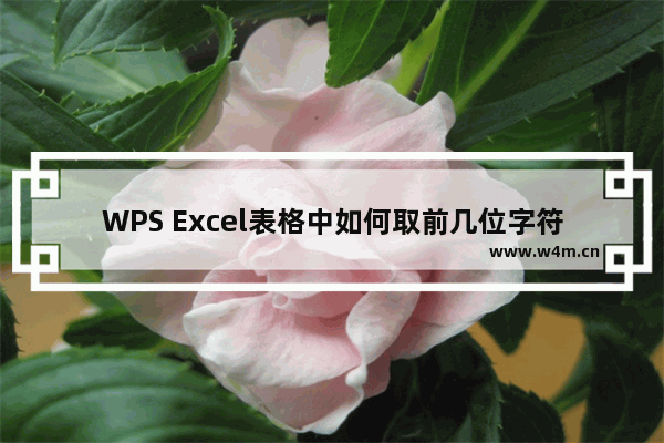 WPS Excel表格中如何取前几位字符