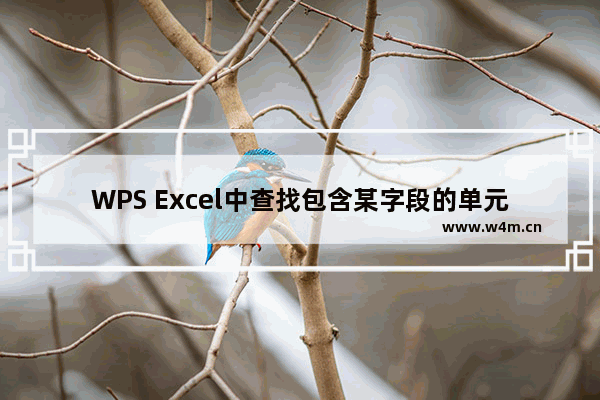 WPS Excel中查找包含某字段的单元格