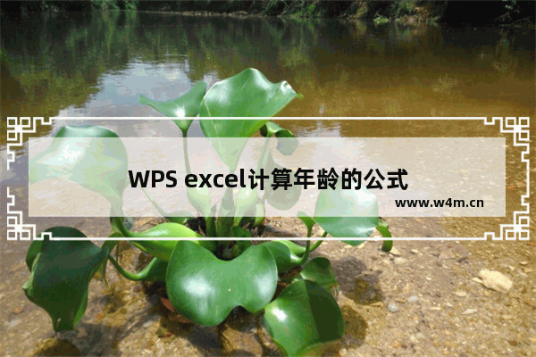 WPS excel计算年龄的公式