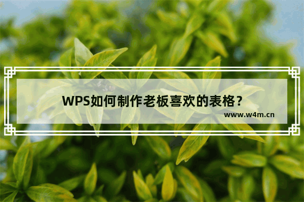 WPS如何制作老板喜欢的表格？