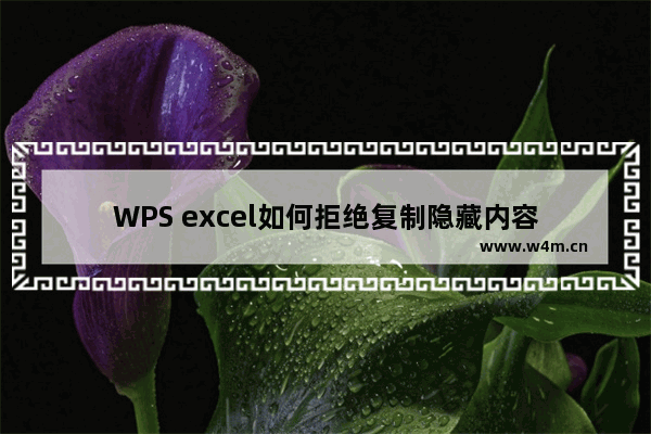 WPS excel如何拒绝复制隐藏内容