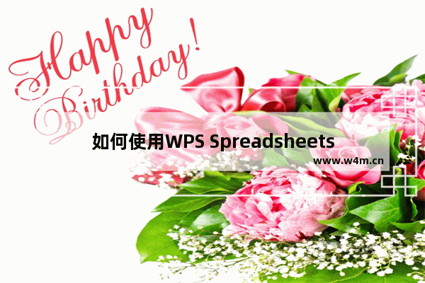 如何使用WPS Spreadsheets？