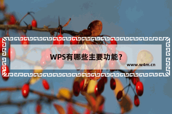 WPS有哪些主要功能？