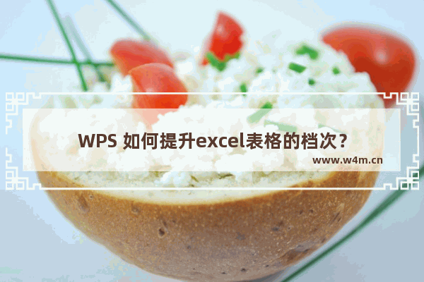 WPS 如何提升excel表格的档次？