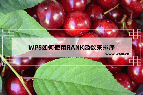 WPS如何使用RANK函数来排序