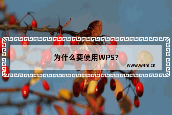 为什么要使用WPS？