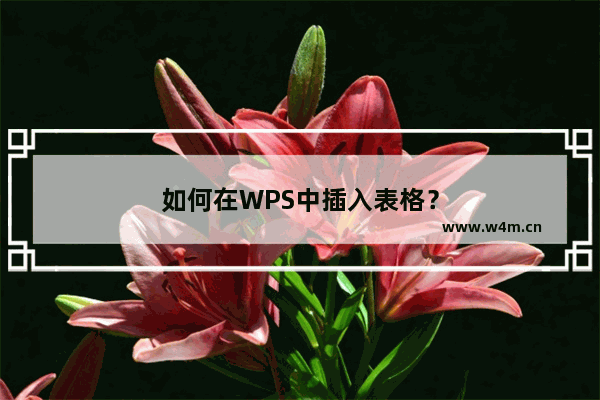 如何在WPS中插入表格？