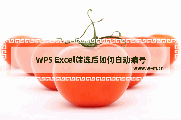 WPS Excel筛选后如何自动编号