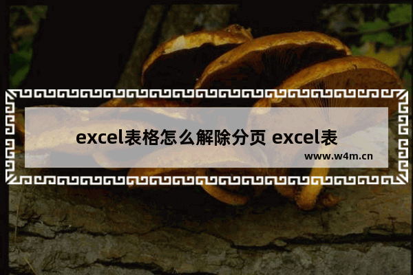 excel表格怎么解除分页 excel表格中如何取消分页