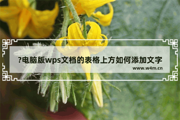 ?电脑版wps文档的表格上方如何添加文字