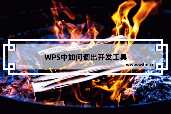 WPS中如何调出开发工具