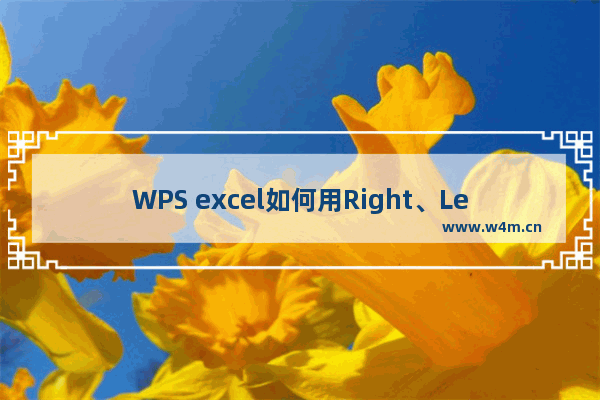 WPS excel如何用Right、Left、Mid函数高效整理数据