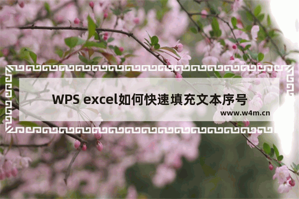 WPS excel如何快速填充文本序号