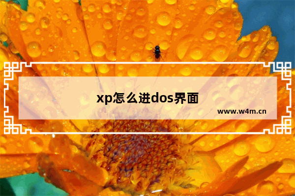 xp怎么进dos界面