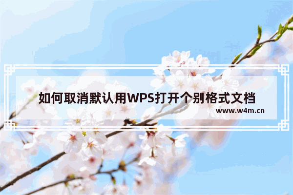 如何取消默认用WPS打开个别格式文档