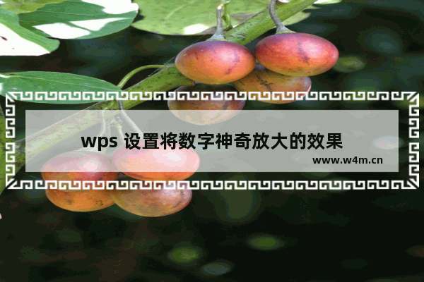 wps 设置将数字神奇放大的效果