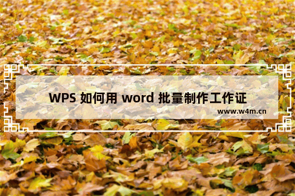 WPS 如何用 word 批量制作工作证