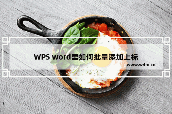 WPS word里如何批量添加上标