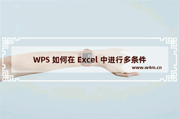 WPS 如何在 Excel 中进行多条件统计