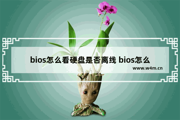 bios怎么看硬盘是否离线 bios怎么看硬盘是否离线启动