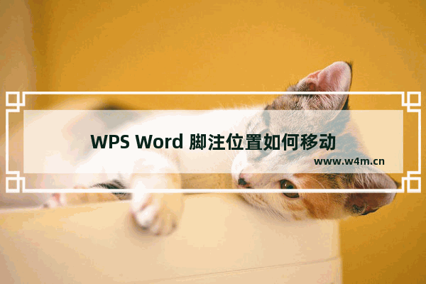 WPS Word 脚注位置如何移动