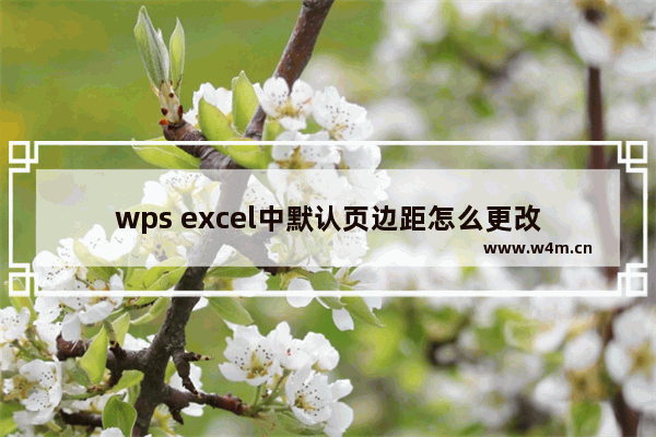 wps excel中默认页边距怎么更改