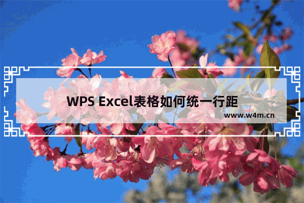 WPS Excel表格如何统一行距