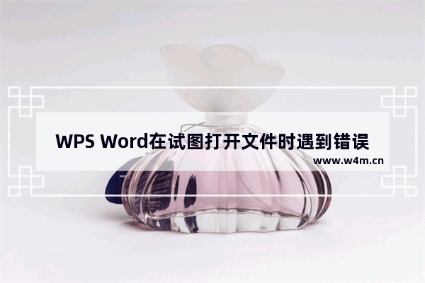 WPS Word在试图打开文件时遇到错误的解决方法