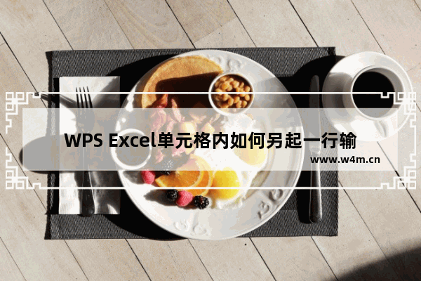 WPS Excel单元格内如何另起一行输入