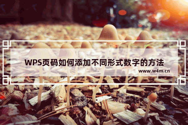 WPS页码如何添加不同形式数字的方法