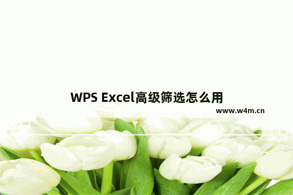 WPS Excel高级筛选怎么用