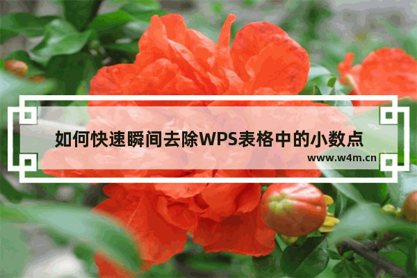 如何快速瞬间去除WPS表格中的小数点