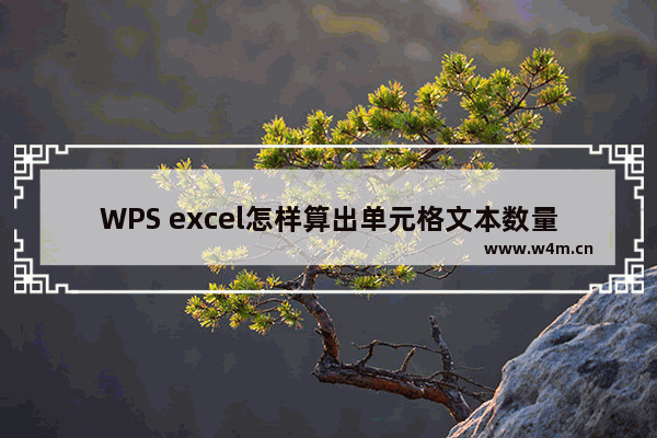 WPS excel怎样算出单元格文本数量