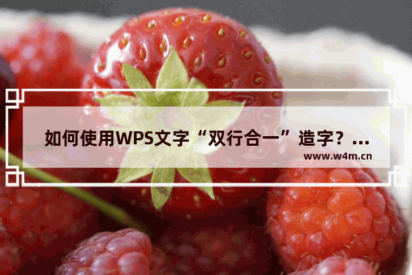 如何使用WPS文字“双行合一”造字？用WPS文字“双行合一”造字的方法教程