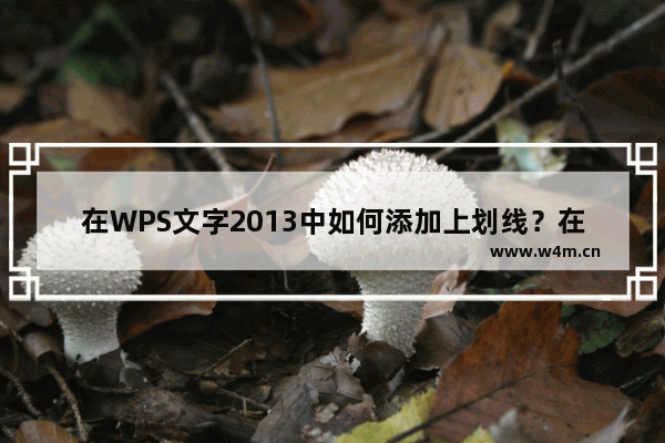 在WPS文字2013中如何添加上划线？在WPS文字2013中上划线的添加方法