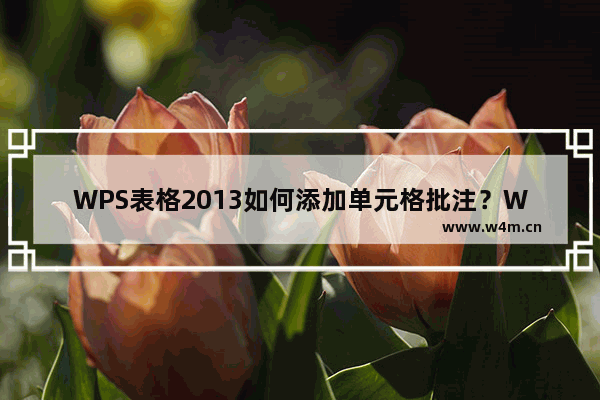 WPS表格2013如何添加单元格批注？WPS表格2013添加单元格批注的方法