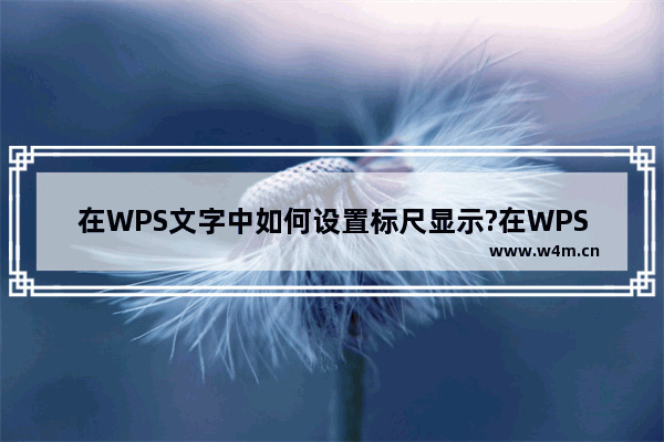 在WPS文字中如何设置标尺显示?在WPS文字在设置标尺显示的具体方法