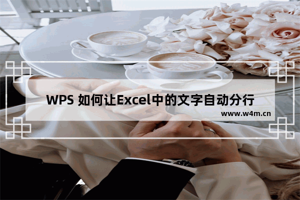 WPS 如何让Excel中的文字自动分行